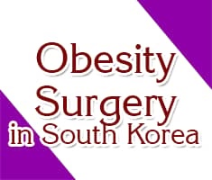 Slider image (1) Obesity Surgery in South Korea